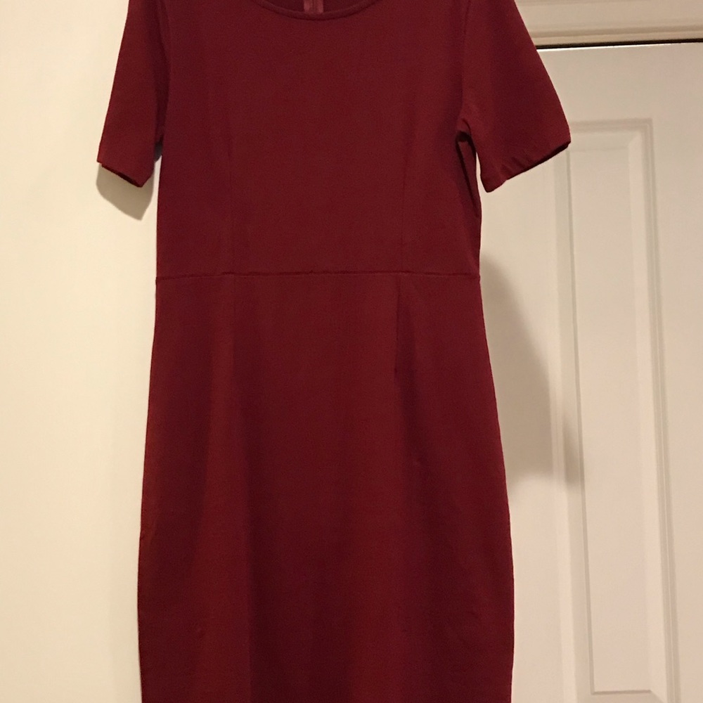 Jcrew knit dress